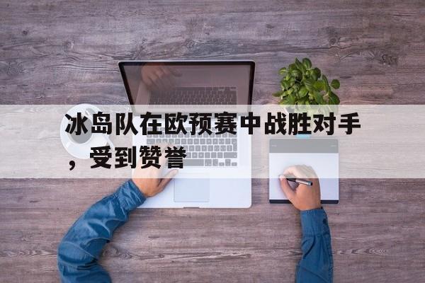 冰岛队在欧预赛中战胜对手，受到赞誉